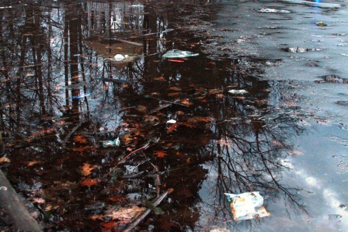 park-norweski-po-rewitalizacji-wypieknia-ale-foto-50883