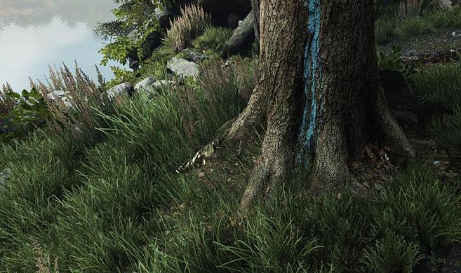 flora-karkonoszy-w-grze-komputerowej-foto-50921