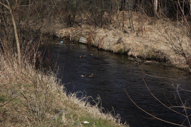 fekalia-w-rzece-omnica-foto-50966
