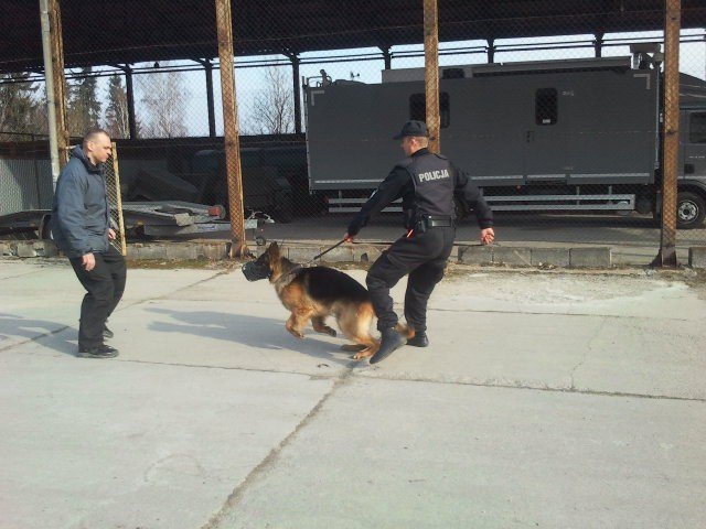 zimowisko-w-harcowce-byo-magiczne-foto-51039