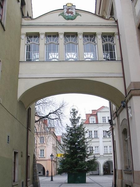 choinka-w-rynku-juz-ubrana-5107