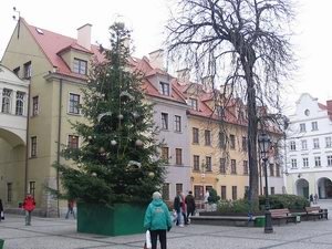 choinka-w-rynku-juz-ubrana-5107