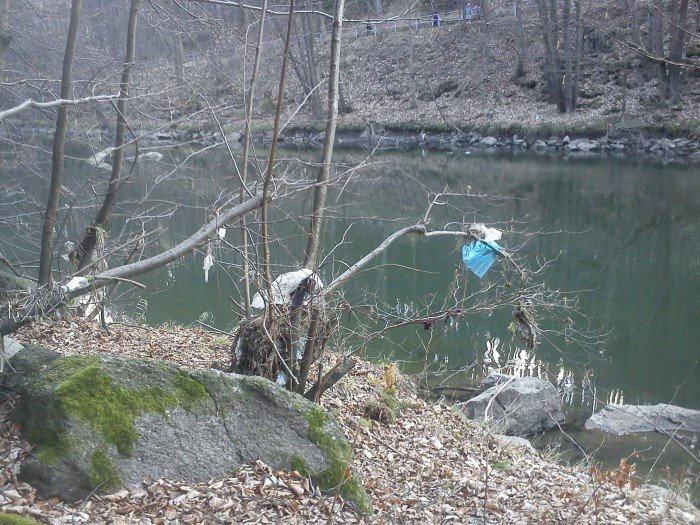 trasa-na-pere-zachodu-tonie-w-smieciach-foto-51075