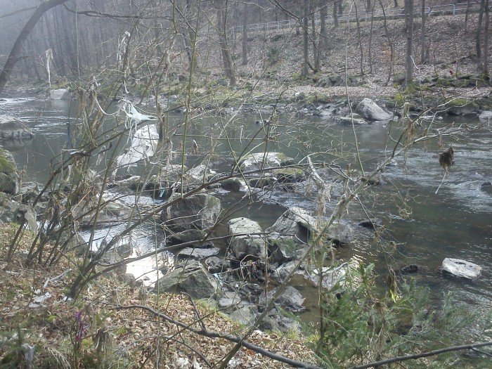trasa-na-pere-zachodu-tonie-w-smieciach-foto-51075