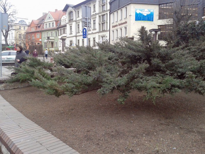 bratkowa-gora-na-poczatek-wiosny-foto-51158