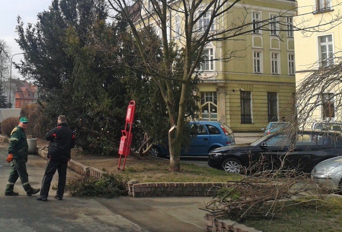 bratkowa-gora-na-poczatek-wiosny-foto-51158