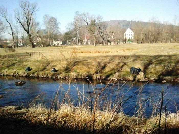 jeleniogorzanin-wyrzuci-worki-z-odpadami-do-rzeki-foto-51179