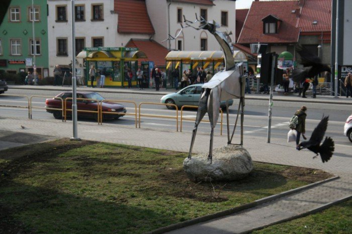 skwerek-na-podwalu-z-jeleniem-foto-51379