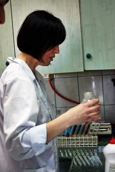 norwidowski-zawrot-gowy-foto-51382