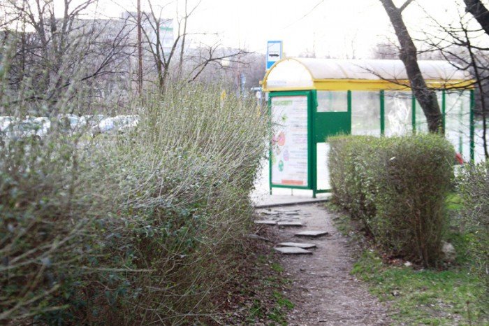 mieszkancy-to-przejscie-strachu-foto-51391