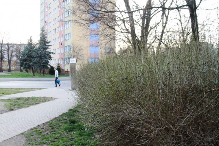 mieszkancy-to-przejscie-strachu-foto-51391