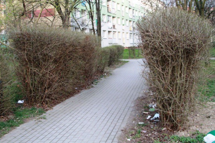 mieszkancy-to-przejscie-strachu-foto-51391