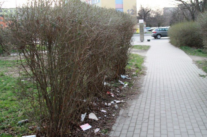 mieszkancy-to-przejscie-strachu-foto-51391
