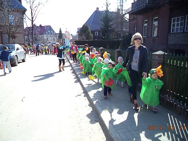 bocian-u-maluchow-z-sobieszowa-foto-51395