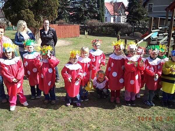 bocian-u-maluchow-z-sobieszowa-foto-51395