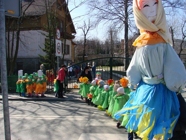 bocian-u-maluchow-z-sobieszowa-foto-51395