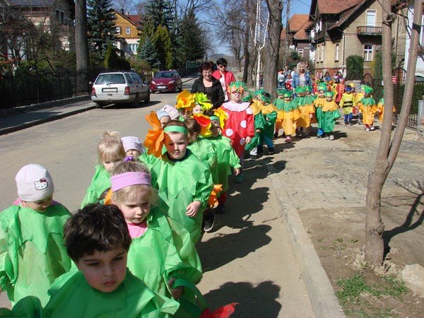 bocian-u-maluchow-z-sobieszowa-foto-51395