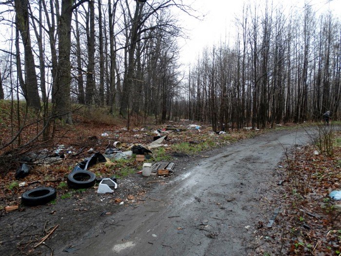czytelniczka-to-trzeba-posprzatac-foto-51427