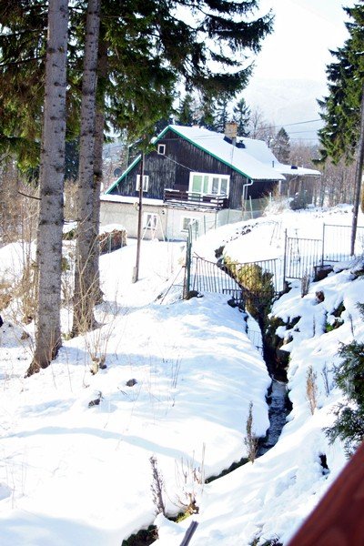 piekna-zima-tej-wiosny-foto-51449