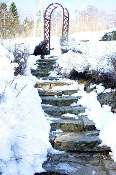 piekna-zima-tej-wiosny-foto-51449