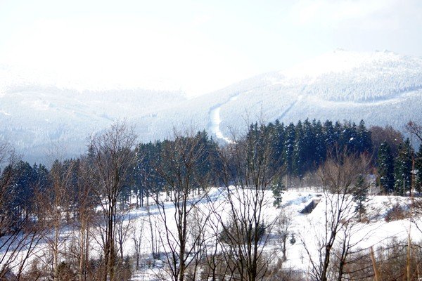 piekna-zima-tej-wiosny-foto-51449