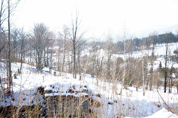 piekna-zima-tej-wiosny-foto-51449