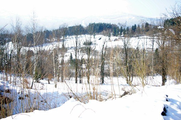 piekna-zima-tej-wiosny-foto-51449