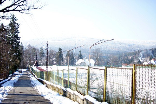 piekna-zima-tej-wiosny-foto-51449