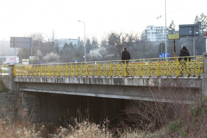 kto-zajmie-sie-naszymi-mostami-foto-51471