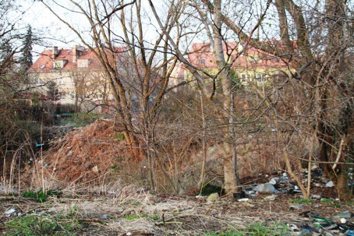 orkana-jednak-nieposprzatana-foto-51480