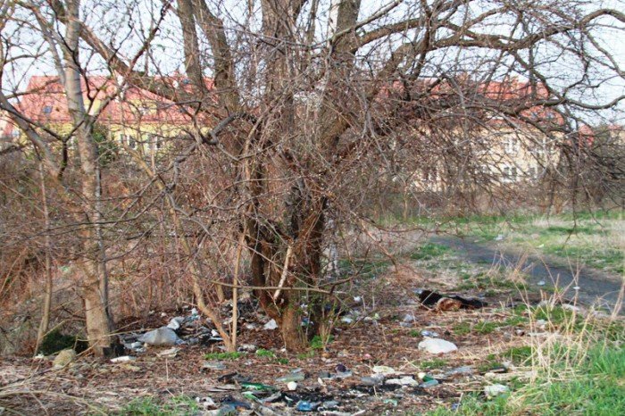 orkana-jednak-nieposprzatana-foto-51480