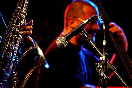 jazz-z-krokusem-2-dzien-5154