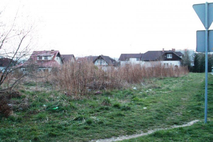 kto-wykosi-te-chaszcze-foto-51545