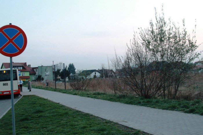 kto-wykosi-te-chaszcze-foto-51545