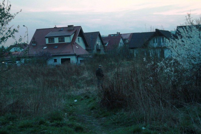 kto-wykosi-te-chaszcze-foto-51545