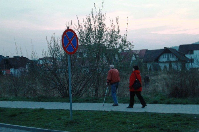 kto-wykosi-te-chaszcze-foto-51545