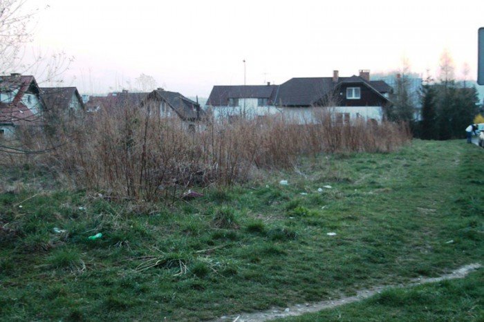 kto-wykosi-te-chaszcze-foto-51545