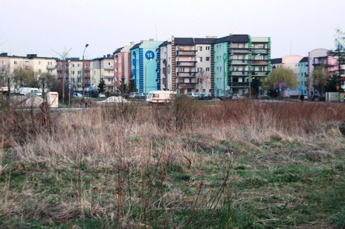 kto-wykosi-te-chaszcze-foto-51545