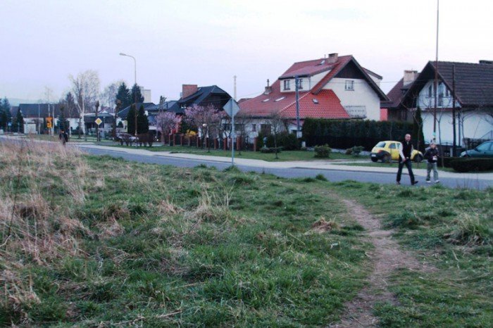 kto-wykosi-te-chaszcze-foto-51545