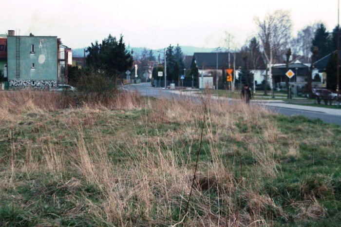 kto-wykosi-te-chaszcze-foto-51545