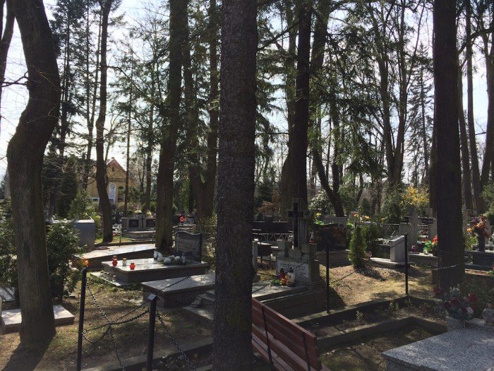 zmiany-na-jeleniogorskich-cmentarzach-foto-51564