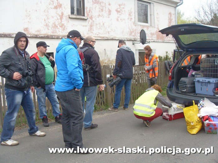 hodowa-psy-w-zych-warunkach-foto-51612