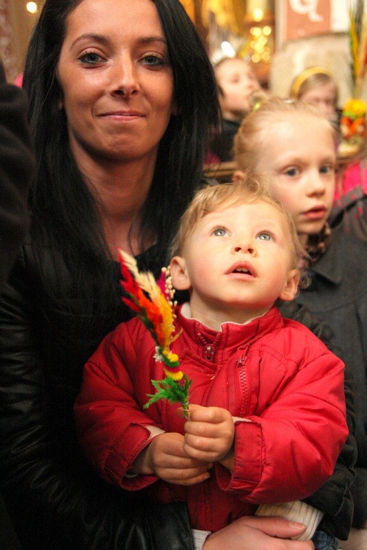 radosna-procesja-w-niedziele-palmowa-foto-51708