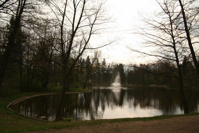 kolorowa-po-zmroku-fontanna-w-parku-norweskim-aktualizacja-foto-51733