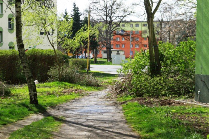 znikneo-przejscie-strachu-foto-51735