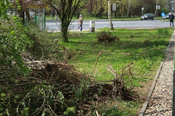 znikneo-przejscie-strachu-foto-51735
