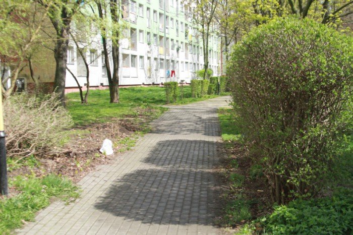 znikneo-przejscie-strachu-foto-51735