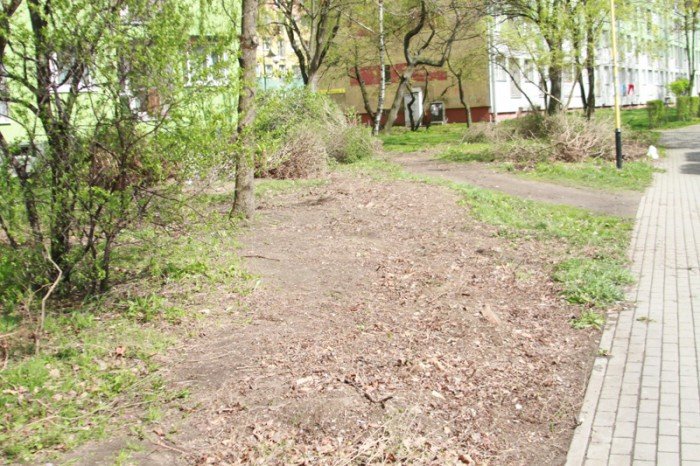 znikneo-przejscie-strachu-foto-51735