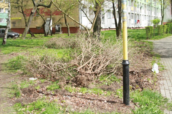 znikneo-przejscie-strachu-foto-51735