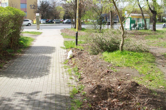 znikneo-przejscie-strachu-foto-51735